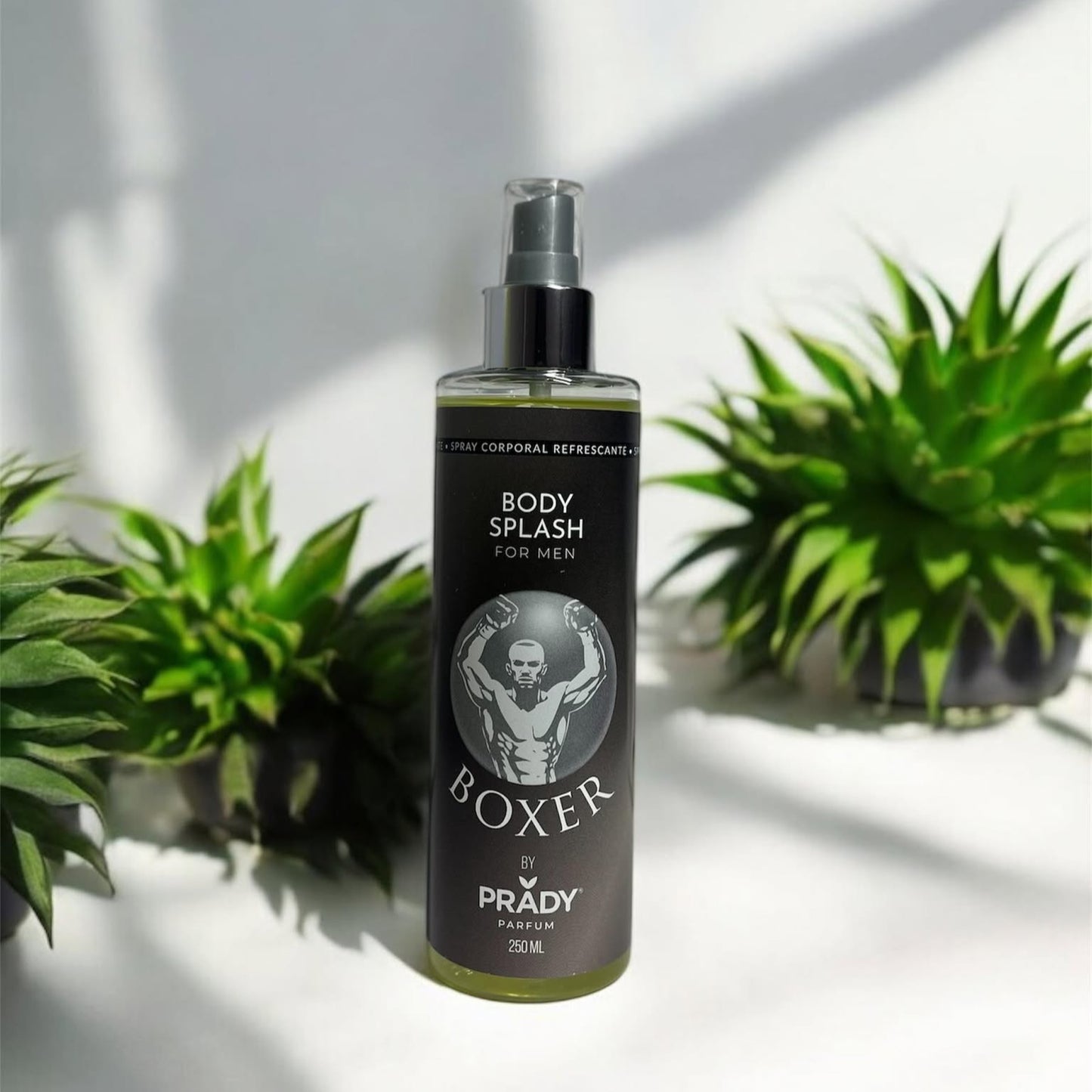 Brume Homme Boxer 250 ml - Prady