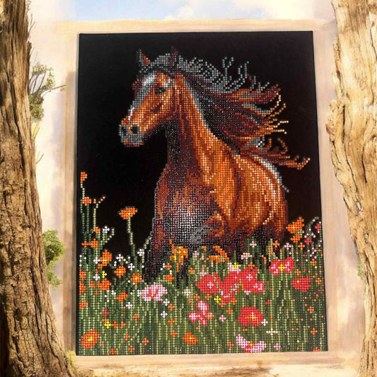 Peinture en diamant Cheval